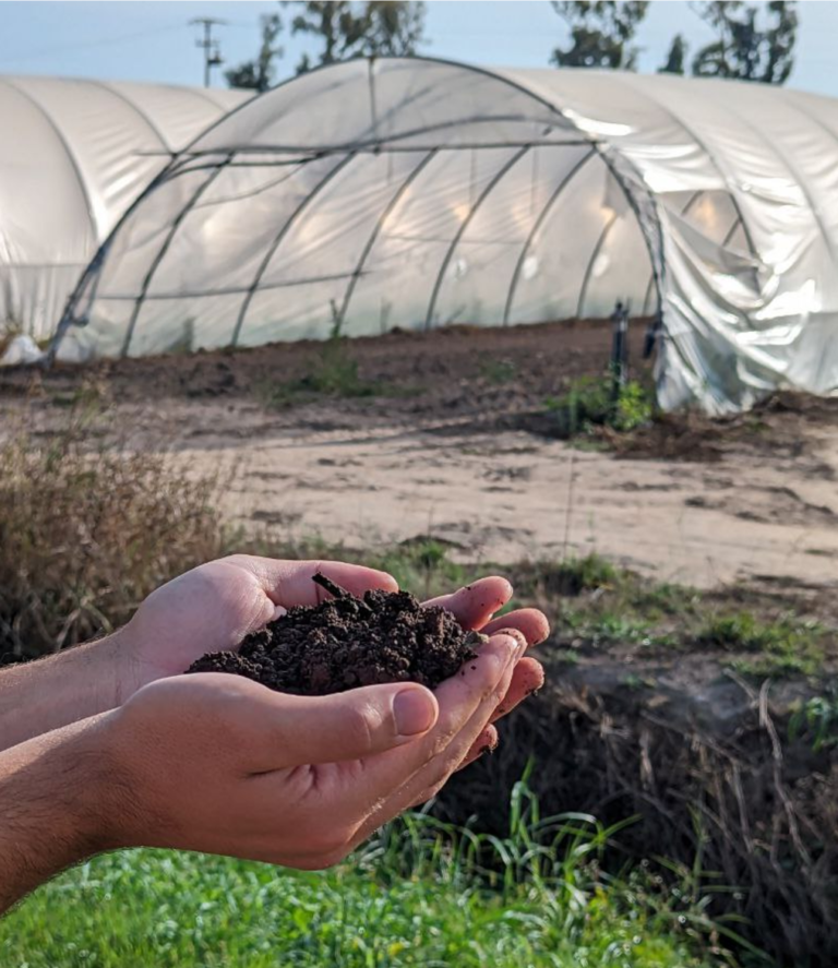 Scopri di più sull'articolo Agricoltura integrata: cos’è questa scelta sostenibile